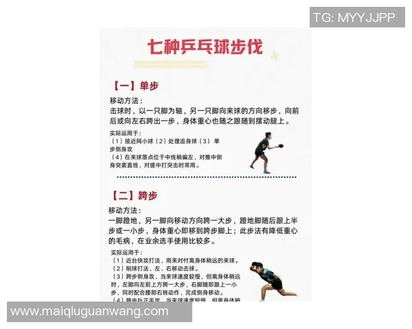 2026年3月份新闻从零基础到高手之路乒乓球力量训练全方位指南 2026年3月份新闻从零基础到高手之路乒乓球力量训练全方位指南